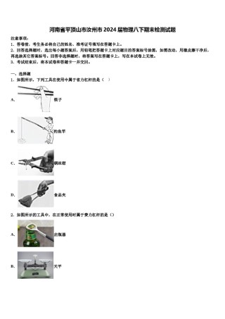 河南省平顶山市汝州市2024届物理八下期末检测试题含解析.doc