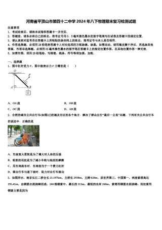 河南省平顶山市第四十二中学2024年八下物理期末复习检测试题含解析.doc
