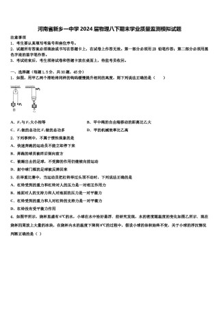 河南省新乡一中学2024届物理八下期末学业质量监测模拟试题含解析.doc