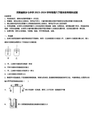 河南省新乡七中学2023-2024学年物理八下期末统考模拟试题含解析.doc