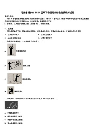 河南省新乡市2024届八下物理期末综合测试模拟试题含解析.doc