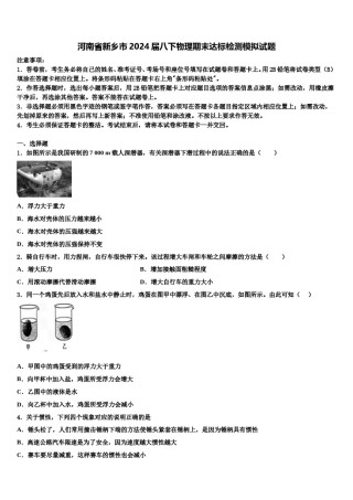 河南省新乡市2024届八下物理期末达标检测模拟试题含解析.doc