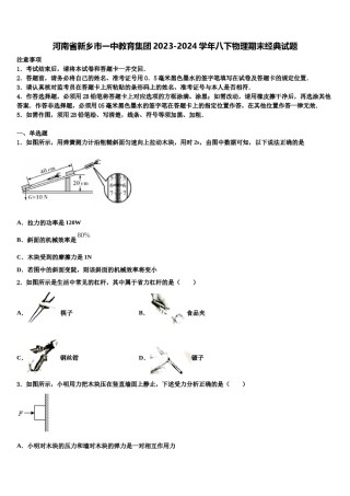 河南省新乡市一中教育集团2023-2024学年八下物理期末经典试题含解析.doc