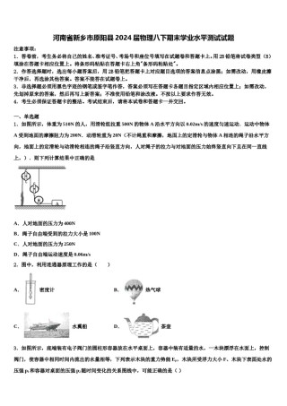 河南省新乡市原阳县2024届物理八下期末学业水平测试试题含解析.doc