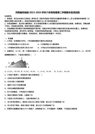 河南省柘城县2023-2024学年八年级物理第二学期期末监测试题含解析.doc