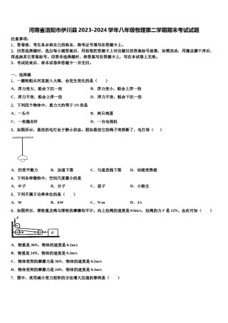 河南省洛阳市伊川县2023-2024学年八年级物理第二学期期末考试试题含解析.doc