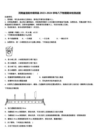 河南省洛阳市偃师县2023-2024学年八下物理期末检测试题含解析.doc