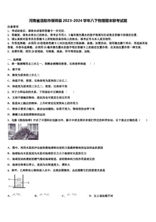 河南省洛阳市偃师县2023-2024学年八下物理期末联考试题含解析.doc