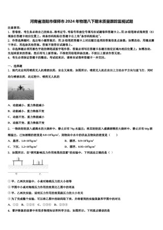 河南省洛阳市偃师市2024年物理八下期末质量跟踪监视试题含解析.doc