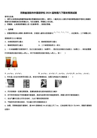 河南省洛阳市外国语学校2024届物理八下期末预测试题含解析.doc