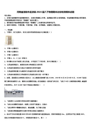 河南省洛阳市孟津县2024届八下物理期末达标检测模拟试题含解析.doc