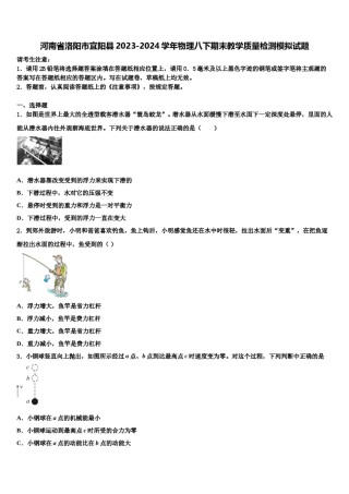 河南省洛阳市宜阳县2023-2024学年物理八下期末教学质量检测模拟试题含解析.doc