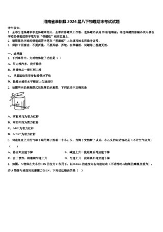 河南省淮阳县2024届八下物理期末考试试题含解析.doc