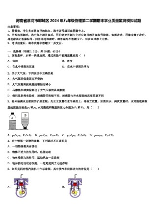 河南省漯河市郾城区2024年八年级物理第二学期期末学业质量监测模拟试题含解析.doc