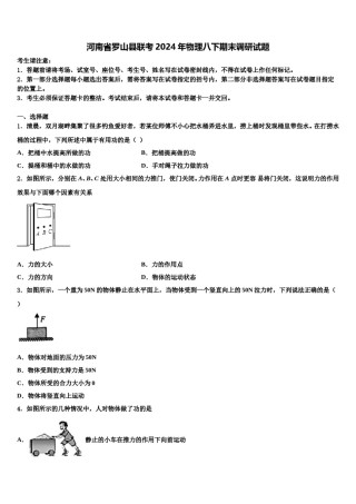 河南省罗山县联考2024年物理八下期末调研试题含解析.doc