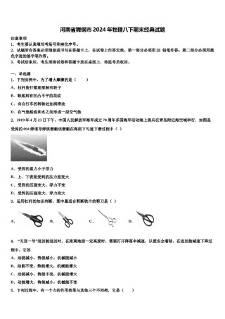 河南省舞钢市2024年物理八下期末经典试题含解析.doc