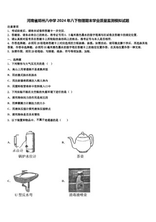河南省郑州八中学2024年八下物理期末学业质量监测模拟试题含解析.doc