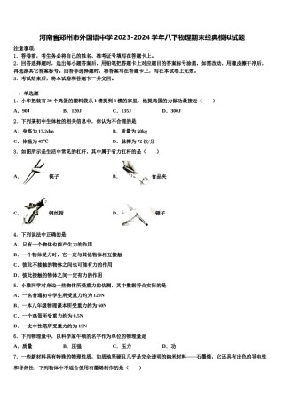 河南省郑州市外国语中学2023-2024学年八下物理期末经典模拟试题含解析.doc
