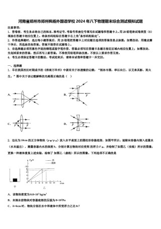 河南省郑州市郑州枫杨外国语学校2024年八下物理期末综合测试模拟试题含解析.doc