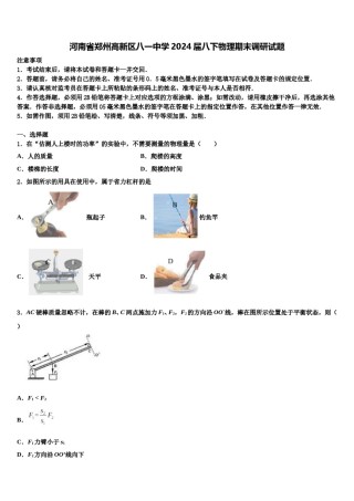 河南省郑州高新区八一中学2024届八下物理期末调研试题含解析.doc