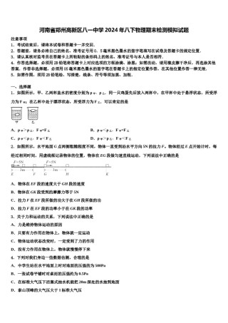河南省郑州高新区八一中学2024年八下物理期末检测模拟试题含解析.doc