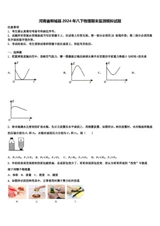 河南省郸城县2024年八下物理期末监测模拟试题含解析.doc