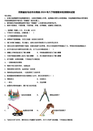 河南省驻马店市汝南县2024年八下物理期末检测模拟试题含解析.doc