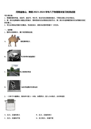河南省鲁山、舞钢2023-2024学年八下物理期末复习检测试题含解析.doc