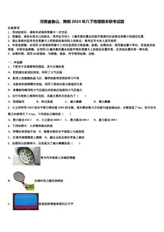 河南省鲁山、舞钢2024年八下物理期末联考试题含解析.doc