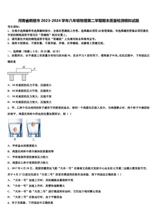 河南省鹤壁市2023-2024学年八年级物理第二学期期末质量检测模拟试题含解析.doc