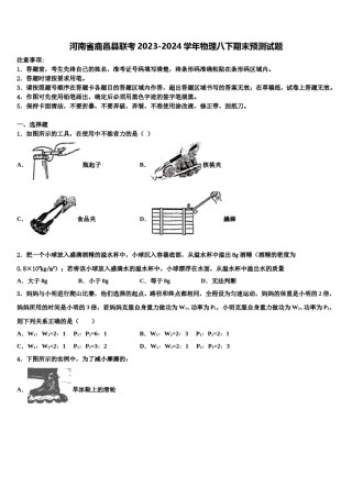 河南省鹿邑县联考2023-2024学年物理八下期末预测试题含解析.doc
