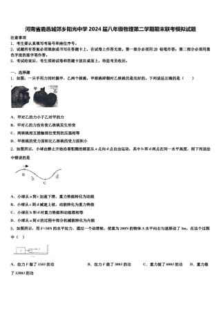 河南省鹿邑城郊乡阳光中学2024届八年级物理第二学期期末联考模拟试题含解析.doc
