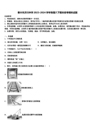 泰兴市济川中学2023-2024学年物理八下期末统考模拟试题含解析.doc