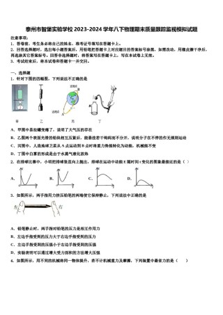 泰州市智堡实验学校2023-2024学年八下物理期末质量跟踪监视模拟试题含解析.doc