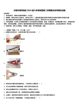 济南市莱芜地区2024届八年级物理第二学期期末统考模拟试题含解析.doc