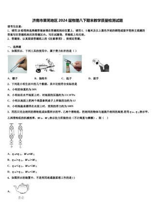 济南市莱芜地区2024届物理八下期末教学质量检测试题含解析.doc