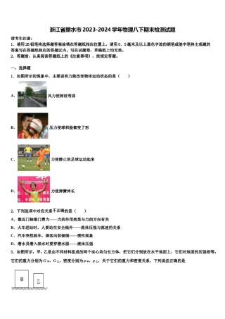 浙江省丽水市2023-2024学年物理八下期末检测试题含解析.doc