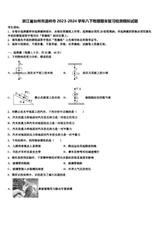 浙江省台州市温岭市2023-2024学年八下物理期末复习检测模拟试题含解析.doc