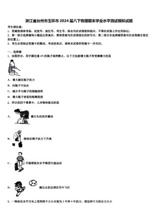 浙江省台州市玉环市2024届八下物理期末学业水平测试模拟试题含解析.doc