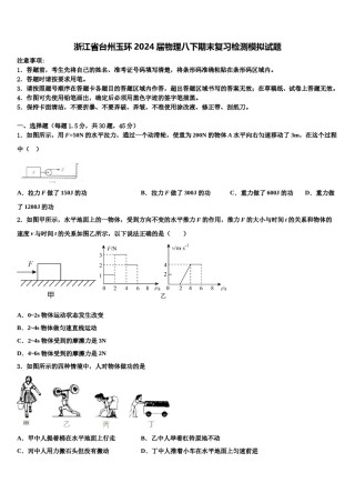 浙江省台州玉环2024届物理八下期末复习检测模拟试题含解析.doc
