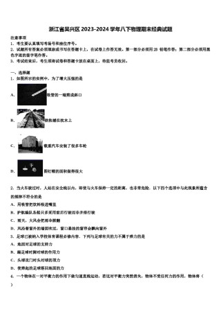 浙江省吴兴区2023-2024学年八下物理期末经典试题含解析.doc
