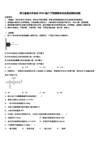 浙江省嘉兴市名校2024届八下物理期末综合测试模拟试题含解析.doc