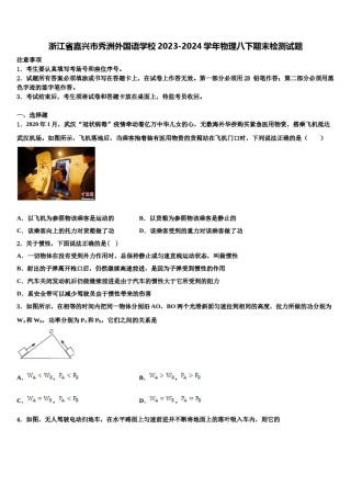 浙江省嘉兴市秀洲外国语学校2023-2024学年物理八下期末检测试题含解析.doc