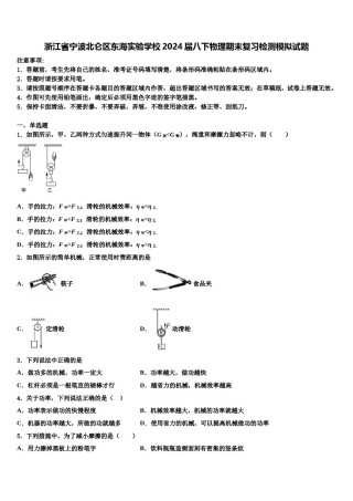 浙江省宁波北仑区东海实验学校2024届八下物理期末复习检测模拟试题含解析.doc