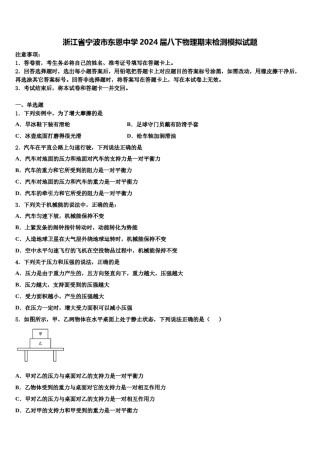 浙江省宁波市东恩中学2024届八下物理期末检测模拟试题含解析.doc