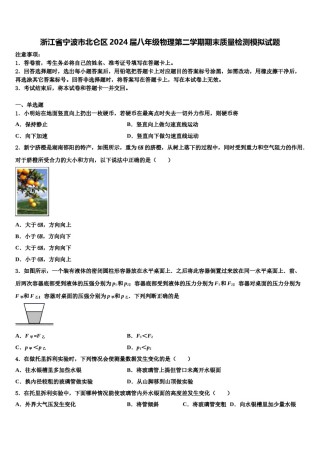 浙江省宁波市北仑区2024届八年级物理第二学期期末质量检测模拟试题含解析.doc