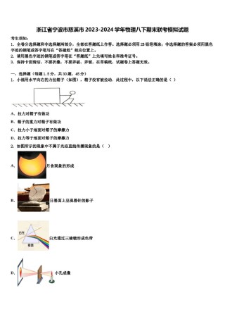 浙江省宁波市慈溪市2023-2024学年物理八下期末联考模拟试题含解析.doc
