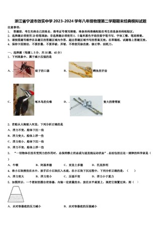浙江省宁波市效实中学2023-2024学年八年级物理第二学期期末经典模拟试题含解析.doc