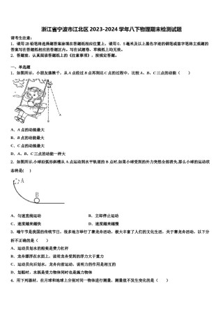 浙江省宁波市江北区2023-2024学年八下物理期末检测试题含解析.doc