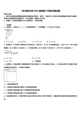 浙江省杭州市2024届物理八下期末经典试题含解析.doc